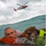 Vídeo: rescatan a un hombre y a su perro en la costa de Florida mientras estaban en un velero averiado durante el huracán Helene