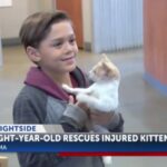 Vídeos: Zayin Berry, un niño de 8 años de edad, entrega su patineta para rescatar un gatito que estaba siendo maltratado por un grupo de niños