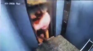 Vídeo sensible: un hombre se salva por poco de morir aplastado por un ascensor