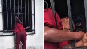 Vídeo: ladrón intenta colarse por la ventana para robar en una tienda y termina atascado entre barrotes