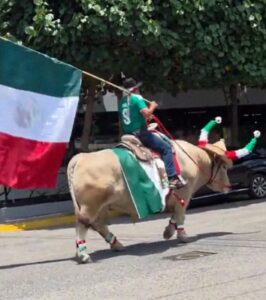 Vídeo: un aficionado mexicano sorprende a todos saliendo a sentar a la selección mexicana montado en un toro por las calles de Guadalajara, México