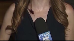 Vídeo: una periodista sigue reportando en vivo para un canal de tv a pesar de que una enorme cucaracha voladora le caminaba por el pecho y el cuello