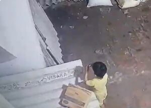 Vídeo sensible: muere un niño de 3 años de edad tras ser atacado por una serpiente venenosa