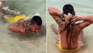 Vídeo sorpresivo: un hombre que nadaba tranquilamente en una playa de repente siente que algo se adhiere a su espalda