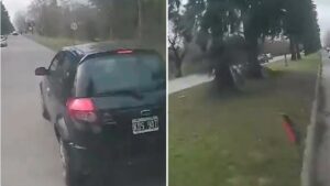 Vídeo: un automóvil frena bruscamente y hace que un autobús repleto de pasajeros que venía detrás, chocara contra el automóvil y terminara incrustado en un árbol
