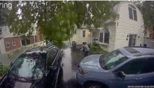 Vídeo: una mujer se salva y logra apartarse por segundos de que un árbol que le cayera  y que terminó cayendo encima de su automóvil