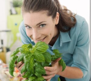 Vídeos: aqui te mostramos qué la albahaca no es solo una hierba aromática, también tiene increíbles beneficios para tu salud