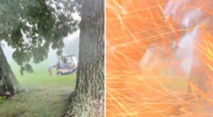 Vídeo impactante: un rayo golpea en un brazo a un golfista que se reía de otros 3 golfistas empapados y que empujaban a un empujar un carrito de golf