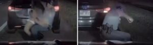Vídeo sensible: el policía estadounidense Moisés Arellano, arroja al suelo y le da una brutal paliza a una joven negra, Alisa Hackett, durante una parada de tráfico en EE.UU.