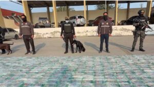 Vídeo, ¿Modus operandi de Daniel Noboa y su familia?: nuevamente encuentran en Ecuador cargamentos de cocaína camuflajeada en cargamento de bananas