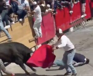 Vídeo sensible: un toro embistió mortalmente en “La Huamantlada”, tradicional festejo taurino en Tlaxcala, México