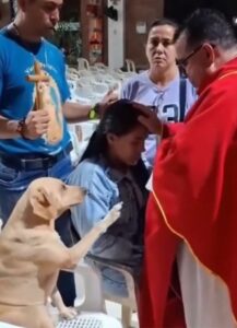 Vídeo: “Simón”, el perrito labrador que se volvió viral luego de que lo vieran “pidiendo la bendición” al sacerdote que lo rescató del terremoto que azotó Colombia
