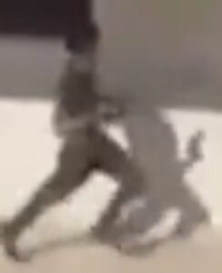 Vídeos: joven desata tiroteo en un colegio colombiano, un día después de que el presidente de ese país, Abelardo de la Espriella, flexibilizara el porte de armas