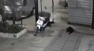 Vídeo: ladrones sufren un aparatoso accidente al intentar huir de la Policía y terminaron tras las rejas