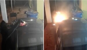 Vídeos del momento justo en qué un encapuchado rocía combustible e incendia el automóvil de un periodista