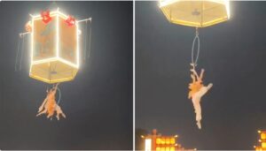 Vídeo sensible: acróbata cae desde gran altura mientras realizaba una rutina en el parque temático Lingnan Impression de Guangzhou, China